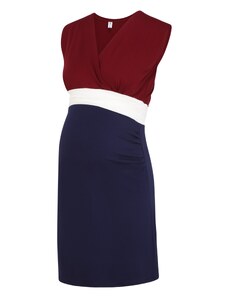 Bebefield Obleka 'Giulia' temno modra / temno rdeča / bela