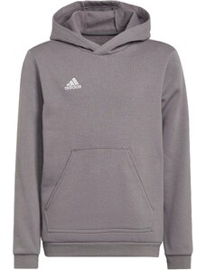 Mikica s kapuco adidas ENT22 HOODY Y h57515 XS (123-128 cm)