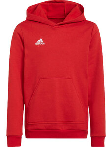 Mikica s kapuco adidas ENT22 HOODY Y h57566 XS (123-128 cm)