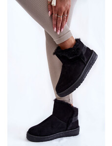 Women's winter boots BIG STAR SHOES i521_22248