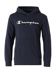 Champion Children's sweatshirt