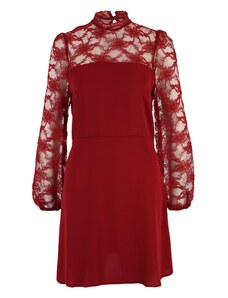 Dorothy Perkins Koktejl obleka robida