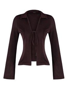 Trendyol Brown Premium Glossy Finish, Soft Textured Polo Neck Knitted Blouse with Lace-up Detail