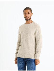Celio Femoon Sweater - Men's