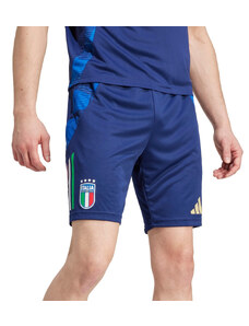 Kratke hlače adidas FIGC TR SHO 2024 iq2170