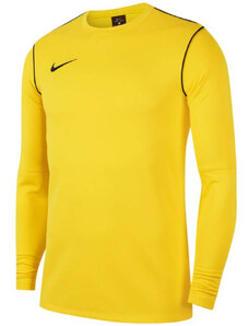 Majica z dolgimi rokavi Nike Y NK DF PARK20 CREW TOP R fj3008-719