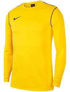 Majica z dolgimi rokavi Nike M NK DF PARK20 CREW TOP R fj3004-719