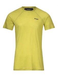 Men's T-shirt Bergans Floyen Wool Tee Green
