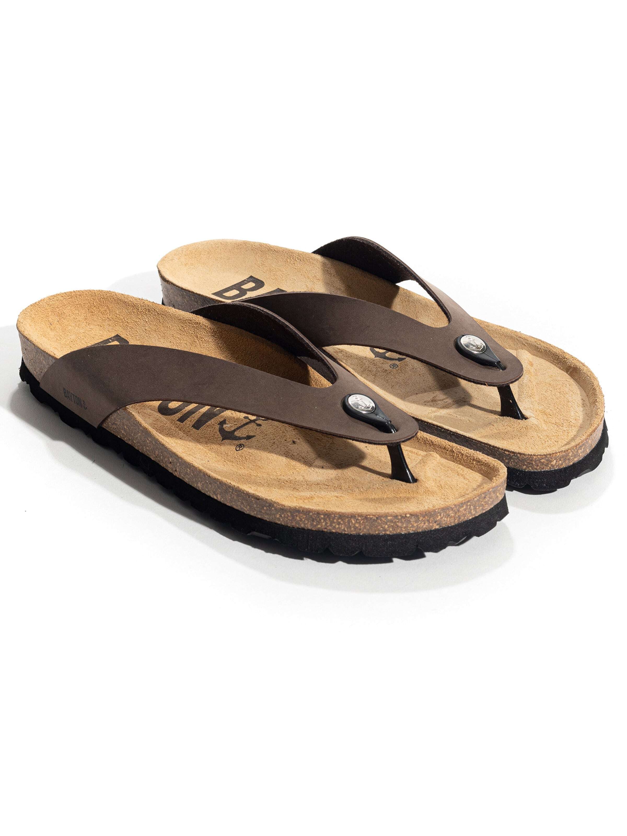 Bayton Japonke 'LUCCA' pesek / temno rjava