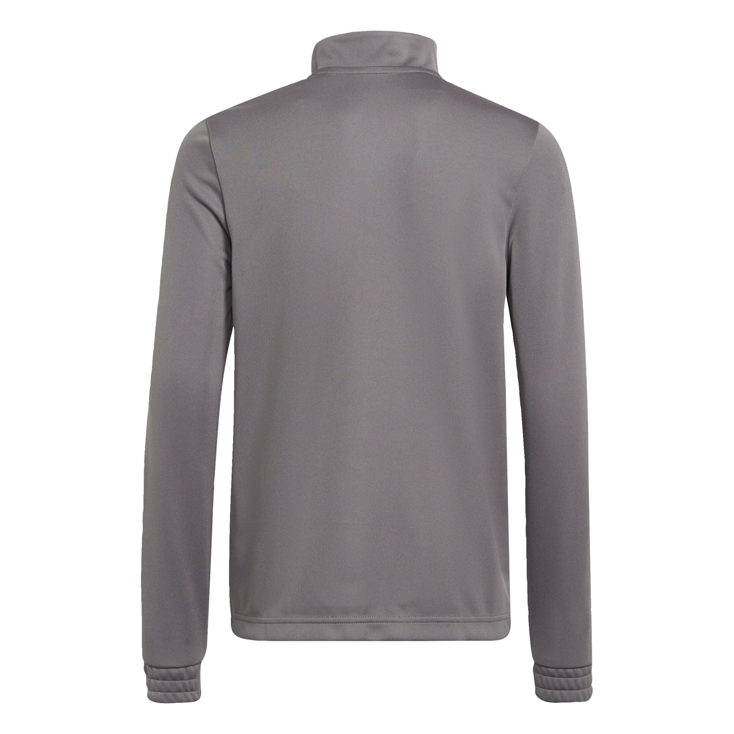 ADIDAS PERFORMANCE Športna majica 'Entrada 22' temno siva / bela