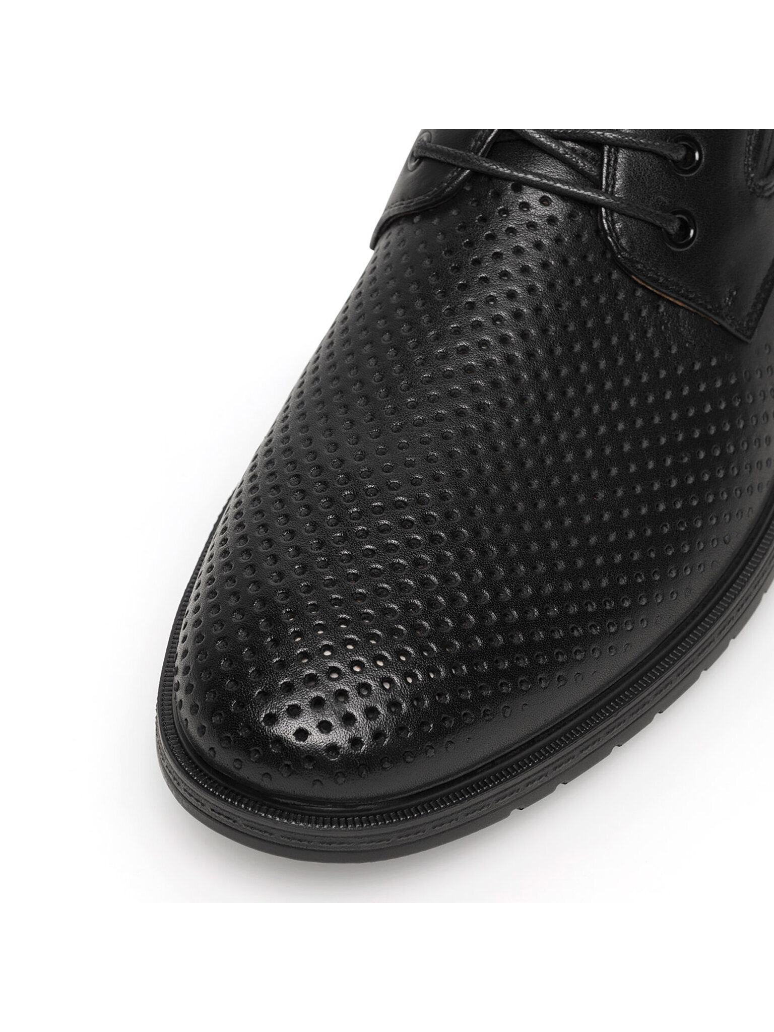 Nizki čevlji Sergio Bardi