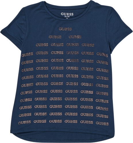 g by guess loop