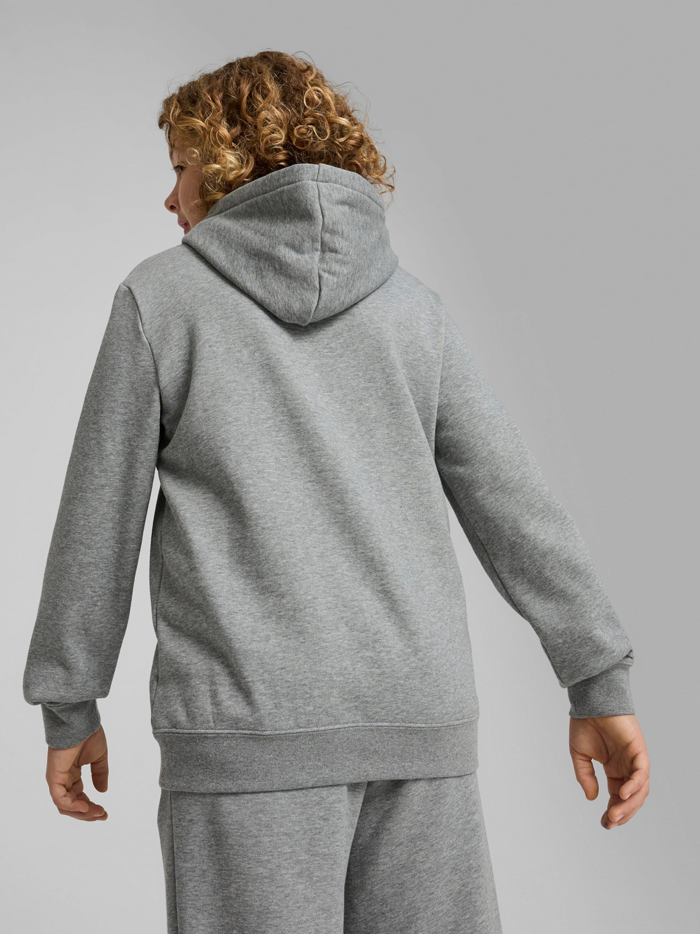 PUMA Majica 'Ess No. 1' siva / črna