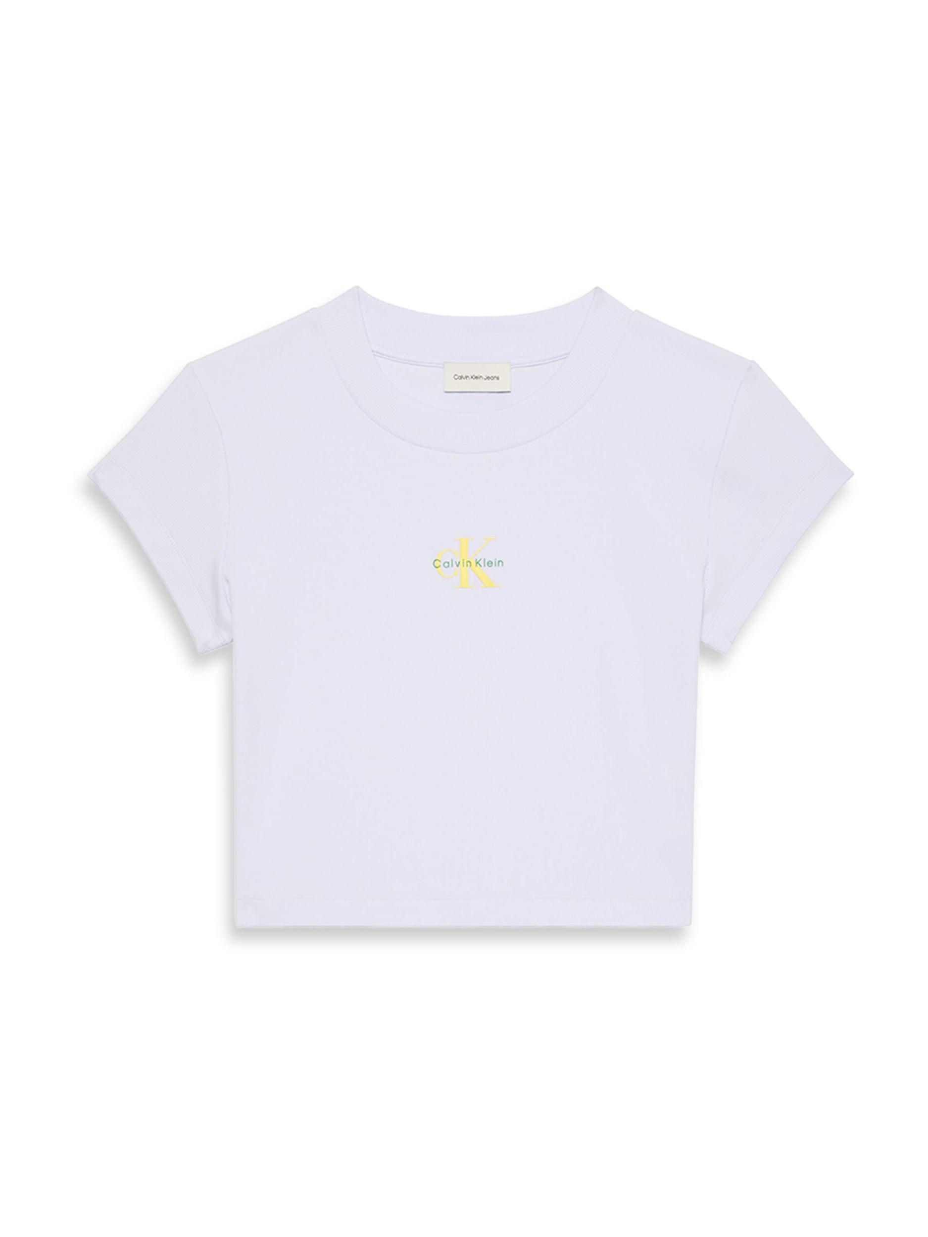 Calvin Klein Jeans Majica zelena / pastelno lila