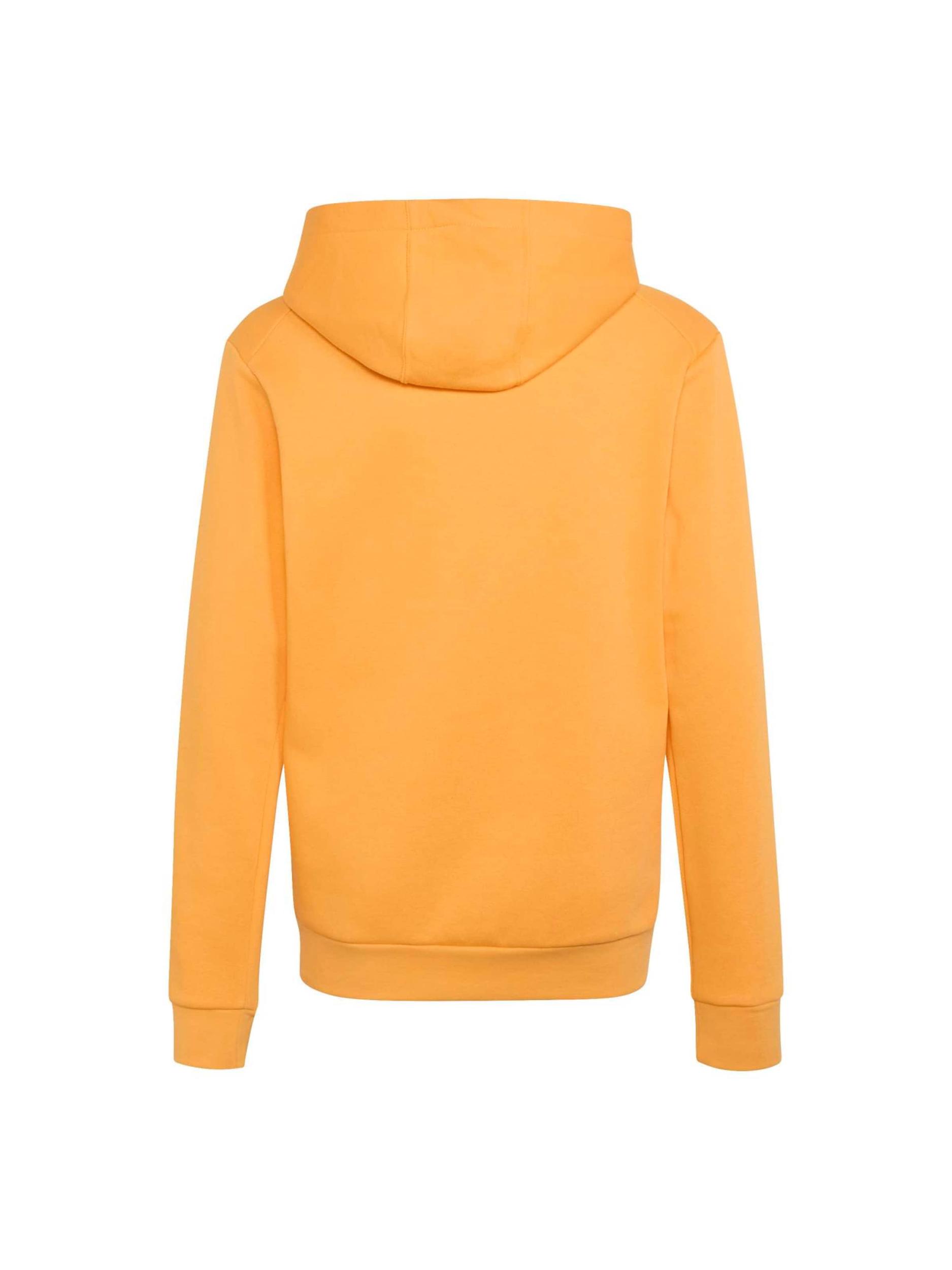 ADIDAS TERREX Športna majica oranžna / bela