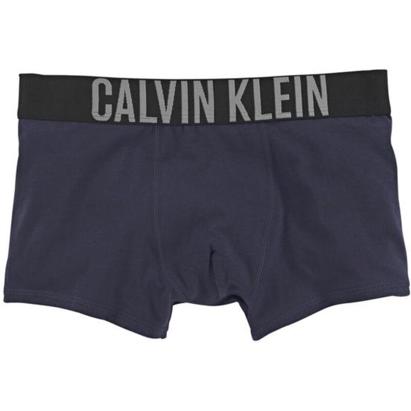 Calvin Klein Underwear Spodnjice modra / siva