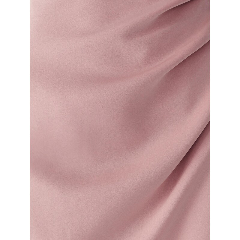 Willa Obleka 'Detroit' staro roza