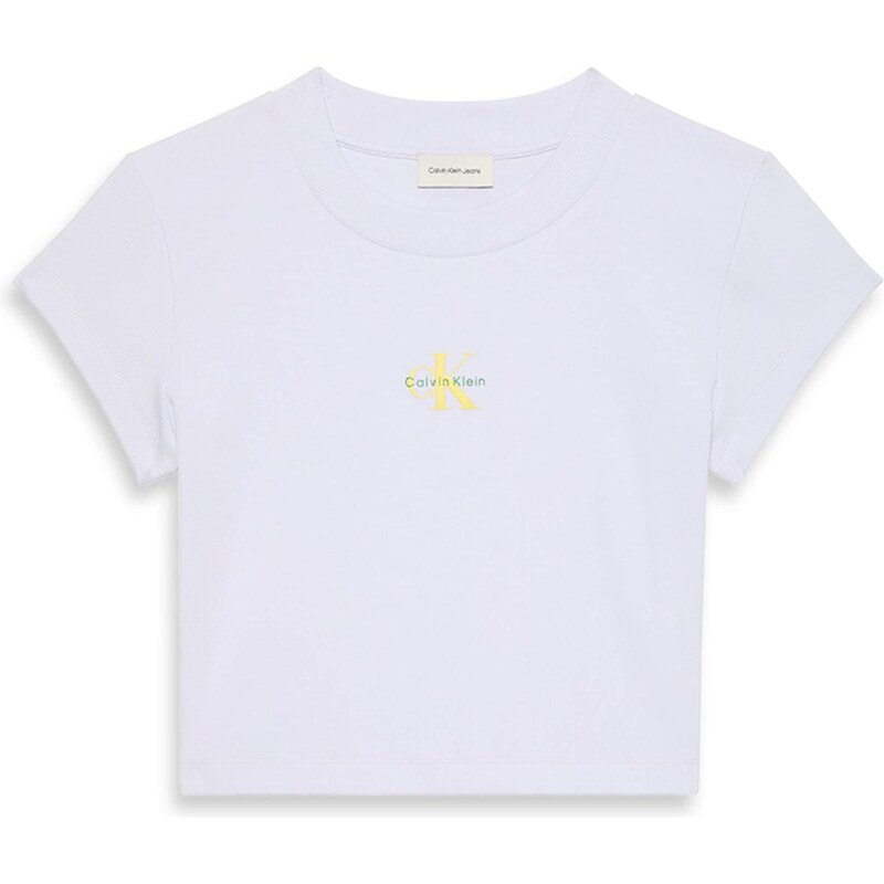 Calvin Klein Jeans Majica zelena / pastelno lila