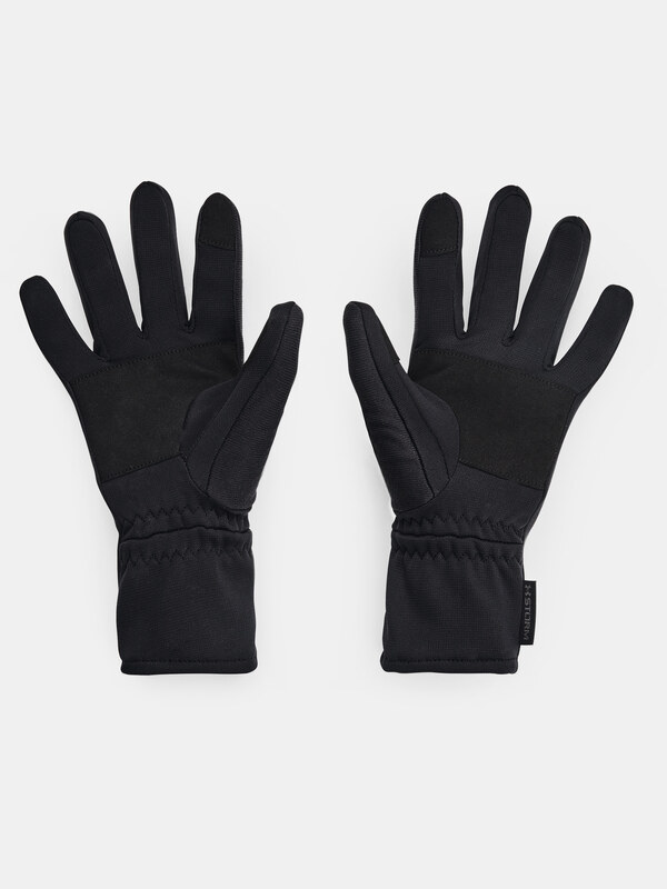 Gloves Under Armour 1365972-001
