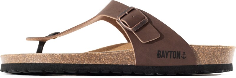 Bayton Japonke 'Mercure' rjava