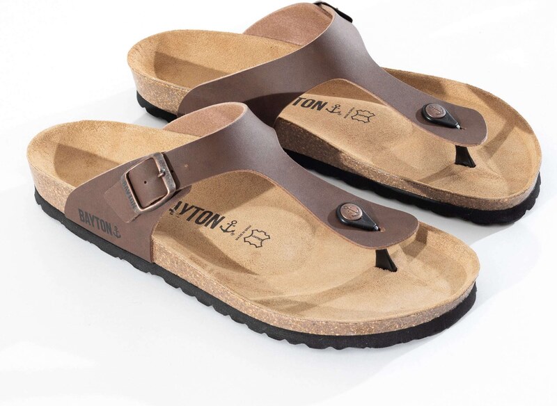 Bayton Japonke 'Mercure' rjava