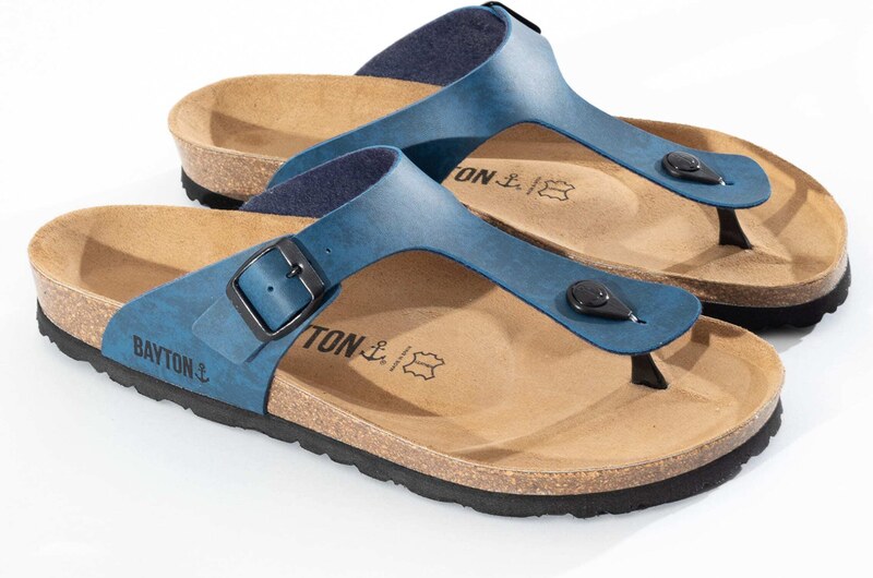 Bayton Japonke 'Mercure' modra