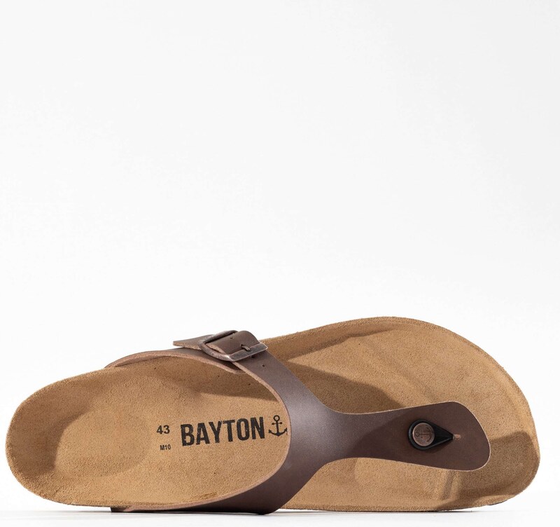 Bayton Japonke 'Mercure' rjava