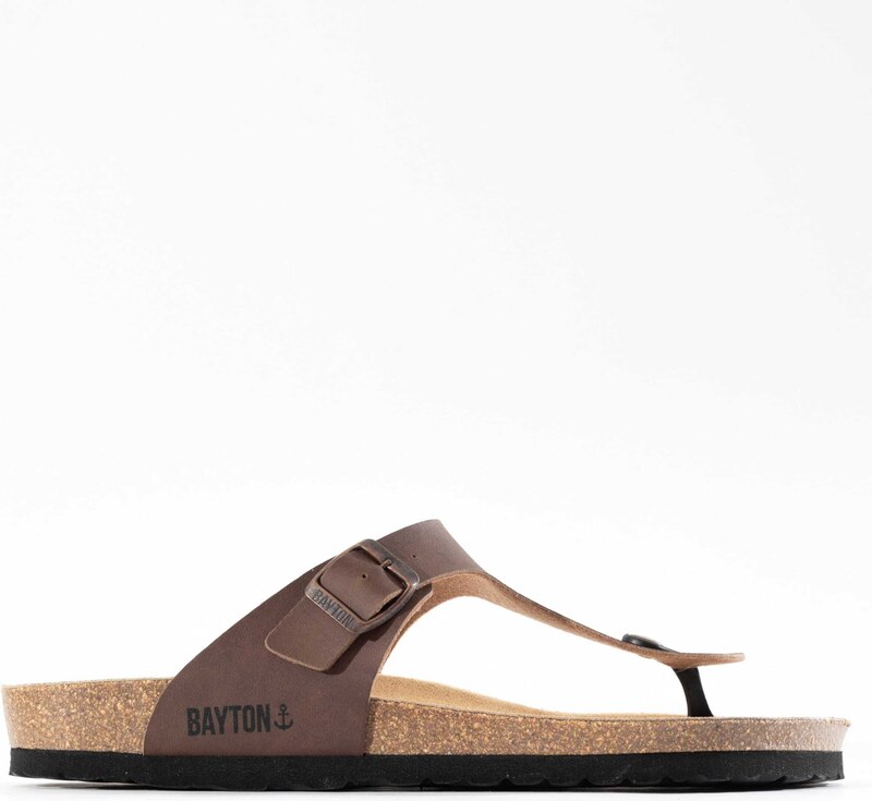 Bayton Japonke 'Mercure' rjava