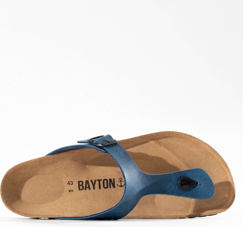 Bayton Japonke 'Mercure' modra