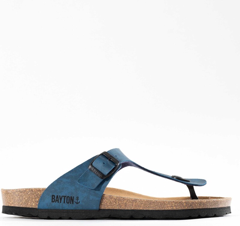 Bayton Japonke 'Mercure' modra