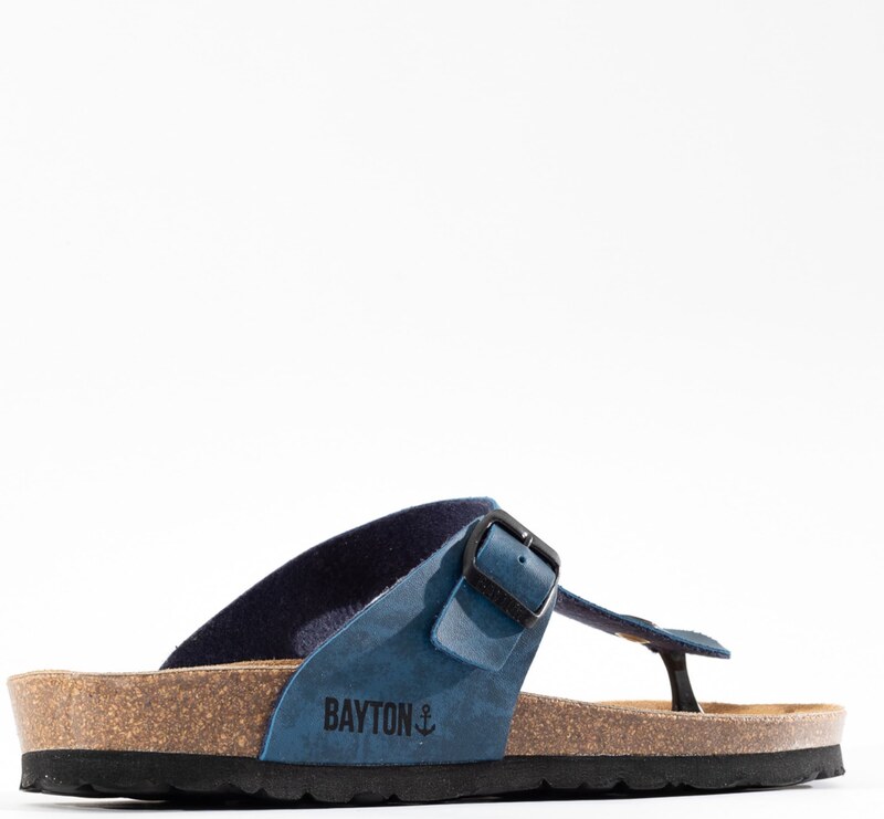 Bayton Japonke 'Mercure' modra