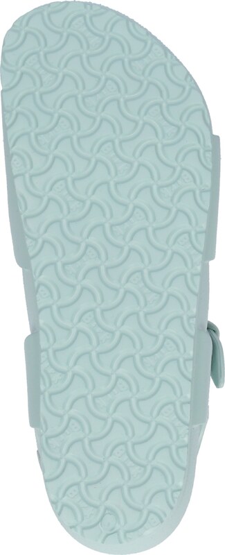 BIRKENSTOCK Odprti čevlji 'Rio' pastelno zelena