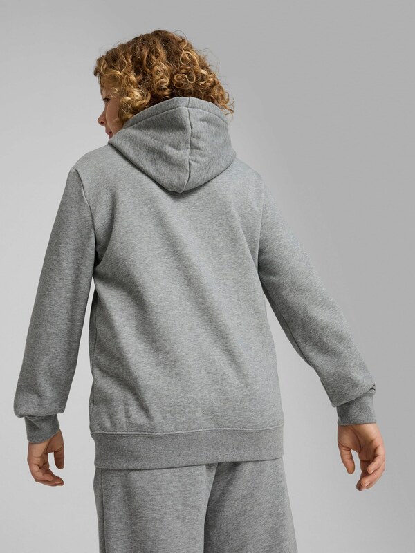 PUMA Majica 'Ess No. 1' siva / črna