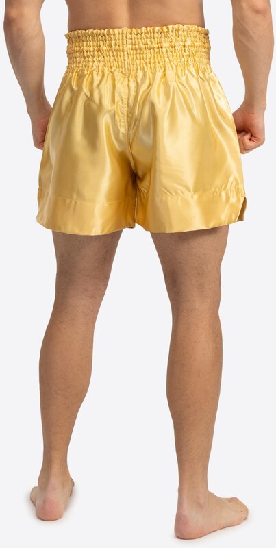 Benlee Športne hlače 'Uni Thai' zlata / črna