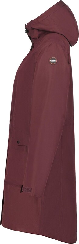 ICEPEAK Zunanji plašč 'Ulysses' ciklama