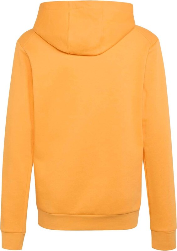 ADIDAS TERREX Športna majica oranžna / bela