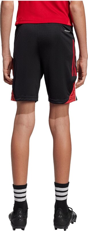 ADIDAS PERFORMANCE Športne hlače 'Tiro 25' rdeča / črna / bela