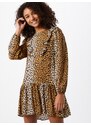 Miss Selfridge Obleka 'FRIL' bež / rjava / temno rjava