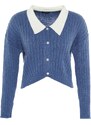 Trendyolova krivulja Indigo rebrasti ovratnik Podroben pleteni kardigan z gumbi