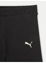 Pajkice Puma
