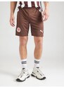 PUMA Športne hlače 'FC St. Pauli 25/26' temno rjava / krvavo rdeča / bela