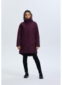 ICEPEAK Zunanji plašč 'Ulysses' ciklama