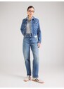 Calvin Klein Jeans Kavbojke 'PARK' moder denim