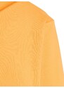 ADIDAS TERREX Športna majica oranžna / bela