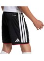 ADIDAS PERFORMANCE Športne hlače 'Deutschland 26' črna / off-bela