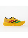 adidas Performance adidas Adizero EVO SL Bold Gold/ Vivid Green/ Pure Ruby