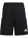 ADIDAS PERFORMANCE Športne hlače 'Tiro 23' črna / bela