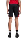 ADIDAS PERFORMANCE Športne hlače 'Tiro 25' rdeča / črna / bela
