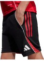 ADIDAS PERFORMANCE Športne hlače 'Tiro 25' rdeča / črna / bela