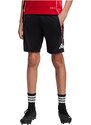 ADIDAS PERFORMANCE Športne hlače 'Tiro 25' rdeča / črna / bela